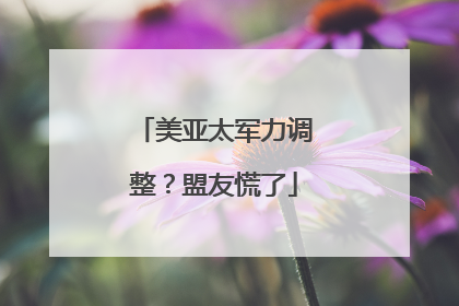 美亚太军力调整？盟友慌了