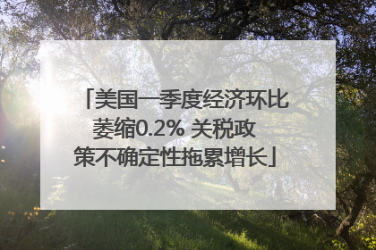美国一季度经济环比萎缩0.2% 关税政策不确定性拖累增长