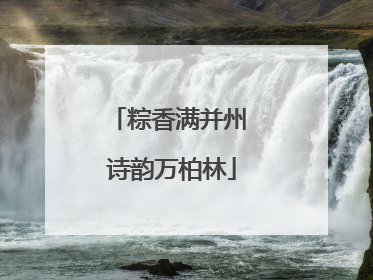 粽香满并州 诗韵万柏林