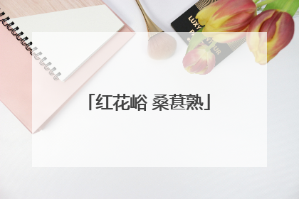 红花峪 桑葚熟