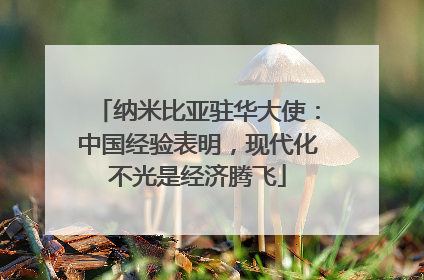纳米比亚驻华大使：中国经验表明，现代化不光是经济腾飞