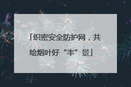 织密安全防护网，共绘烟叶好“丰”景