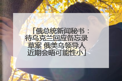 俄总统新闻秘书：待乌克兰回应备忘录草案 俄美乌领导人近期会晤可能性小