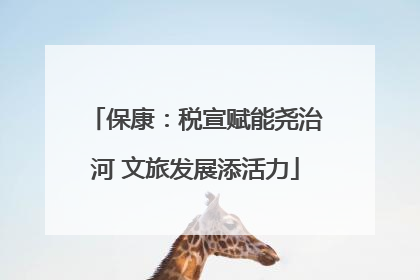 保康：税宣赋能尧治河 文旅发展添活力