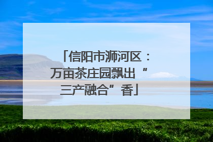信阳市浉河区：万亩茶庄园飘出“三产融合”香