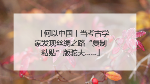 何以中国丨当考古学家发现丝绸之路“复制粘贴”版驼夫……