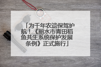 为千年农遗保驾护航！《丽水市青田稻鱼共生系统保护发展条例》正式施行