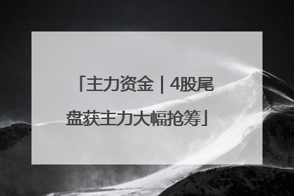 主力资金｜4股尾盘获主力大幅抢筹