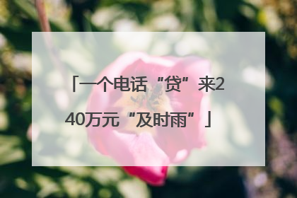 一个电话“贷”来240万元“及时雨”
