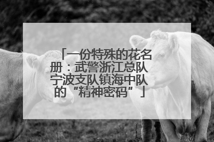 一份特殊的花名册：武警浙江总队宁波支队镇海中队的“精神密码”