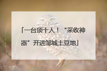 一台顶十人！“采收神器”开进邹城土豆地