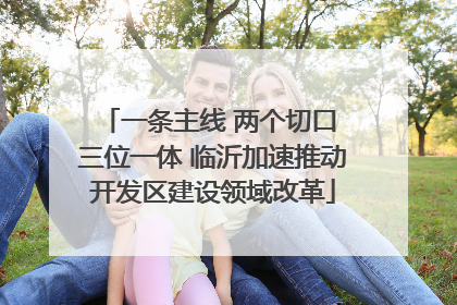 一条主线 两个切口 三位一体 临沂加速推动开发区建设领域改革