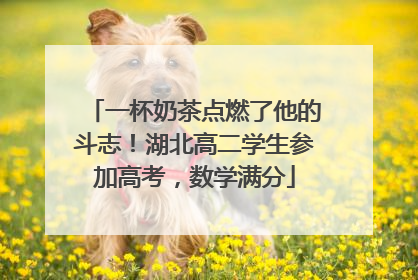 一杯奶茶点燃了他的斗志！湖北高二学生参加高考，数学满分