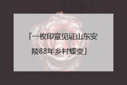 一枚印章见证山东安陵88年乡村蝶变