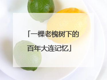 一棵老槐树下的百年大连记忆