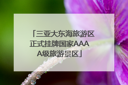 三亚大东海旅游区正式挂牌国家AAAA级旅游景区