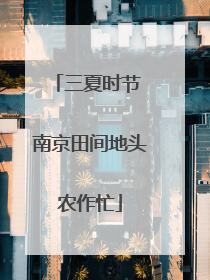三夏时节 南京田间地头农作忙