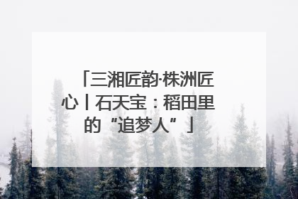 三湘匠韵·株洲匠心丨石天宝：稻田里的“追梦人”