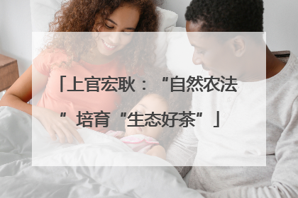 上官宏耿：“自然农法”培育“生态好茶”