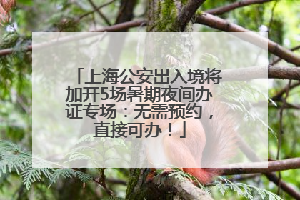 上海公安出入境将加开5场暑期夜间办证专场：无需预约，直接可办！
