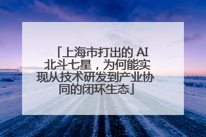 上海市打出的 AI 北斗七星，为何能实现从技术研发到产业协同的闭环生态