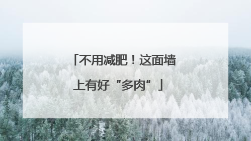 不用减肥！这面墙上有好“多肉”