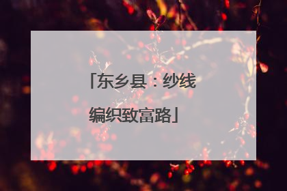 东乡县：纱线编织致富路
