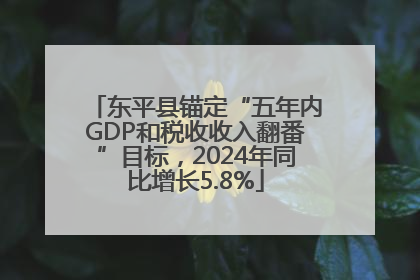 东平县锚定“五年内GDP和税收收入翻番”目标，2024年同比增长5.8%