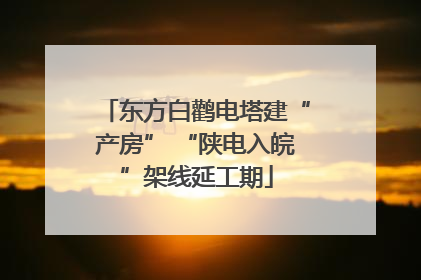 东方白鹳电塔建“产房” “陕电入皖”架线延工期
