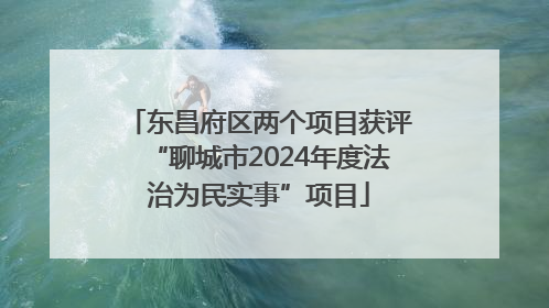 东昌府区两个项目获评“聊城市2024年度法治为民实事”项目