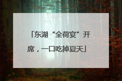 东湖“全荷宴”开席，一口吃掉夏天