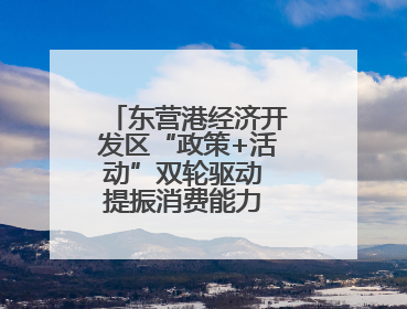 东营港经济开发区“政策+活动”双轮驱动 提振消费能力 释放消费潜力