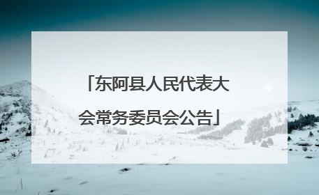 东阿县人民代表大会常务委员会公告