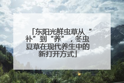 东阳光鲜虫草从“补”到“养”，冬虫夏草在现代养生中的新打开方式