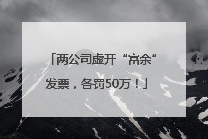 两公司虚开“富余”发票，各罚50万！