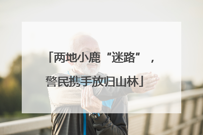 两地小鹿“迷路”，警民携手放归山林