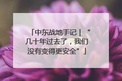 中东战地手记｜“几十年过去了，我们没有变得更安全”