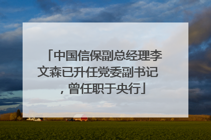 中国信保副总经理李文森已升任党委副书记，曾任职于央行