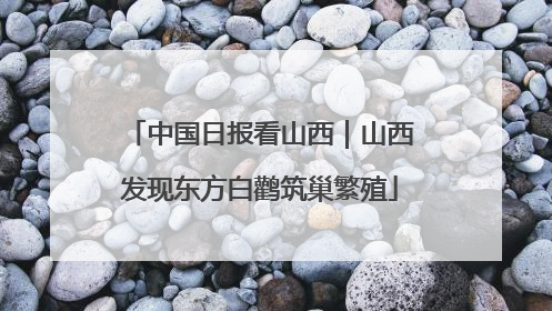 中国日报看山西｜山西发现东方白鹳筑巢繁殖