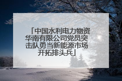 中国水利电力物资华南有限公司党员突击队勇当新能源市场开拓排头兵