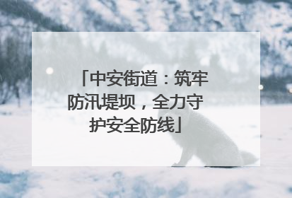 中安街道：筑牢防汛堤坝，全力守护安全防线