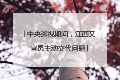 中央巡视期间，江西又一官员主动交代问题