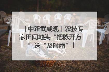 中新武威观｜农技专家田间地头“把脉开方”送“及时雨”