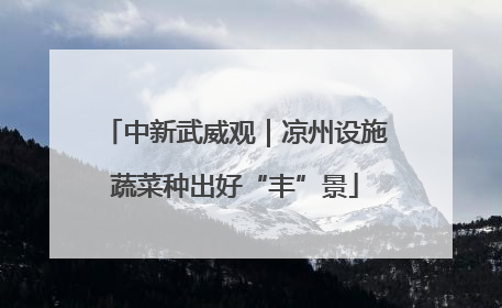 中新武威观｜凉州设施蔬菜种出好“丰”景