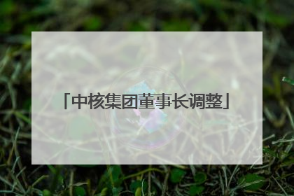 中核集团董事长调整