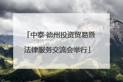 中泰·德州投资贸易暨法律服务交流会举行