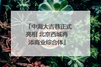 中海大吉巷正式亮相 北京西城再添商业综合体