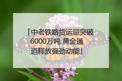 中老铁路货运量突破6000万吨 黄金通道释放强劲动能