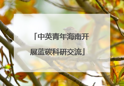 中英青年海南开展蓝碳科研交流