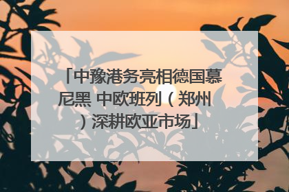 中豫港务亮相德国慕尼黑 中欧班列（郑州）深耕欧亚市场